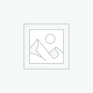 Suspendisse gravida lacus varius